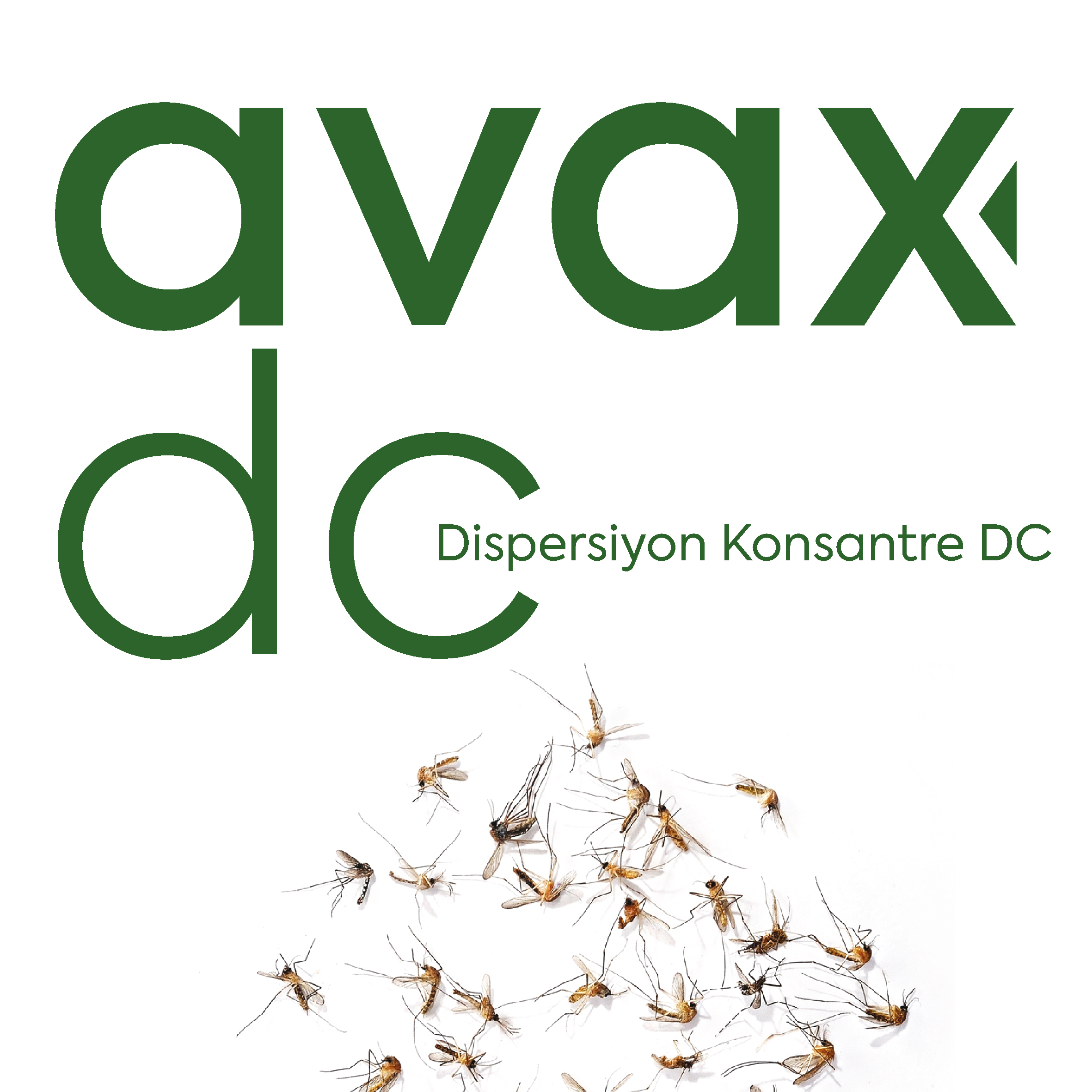 Avax DC