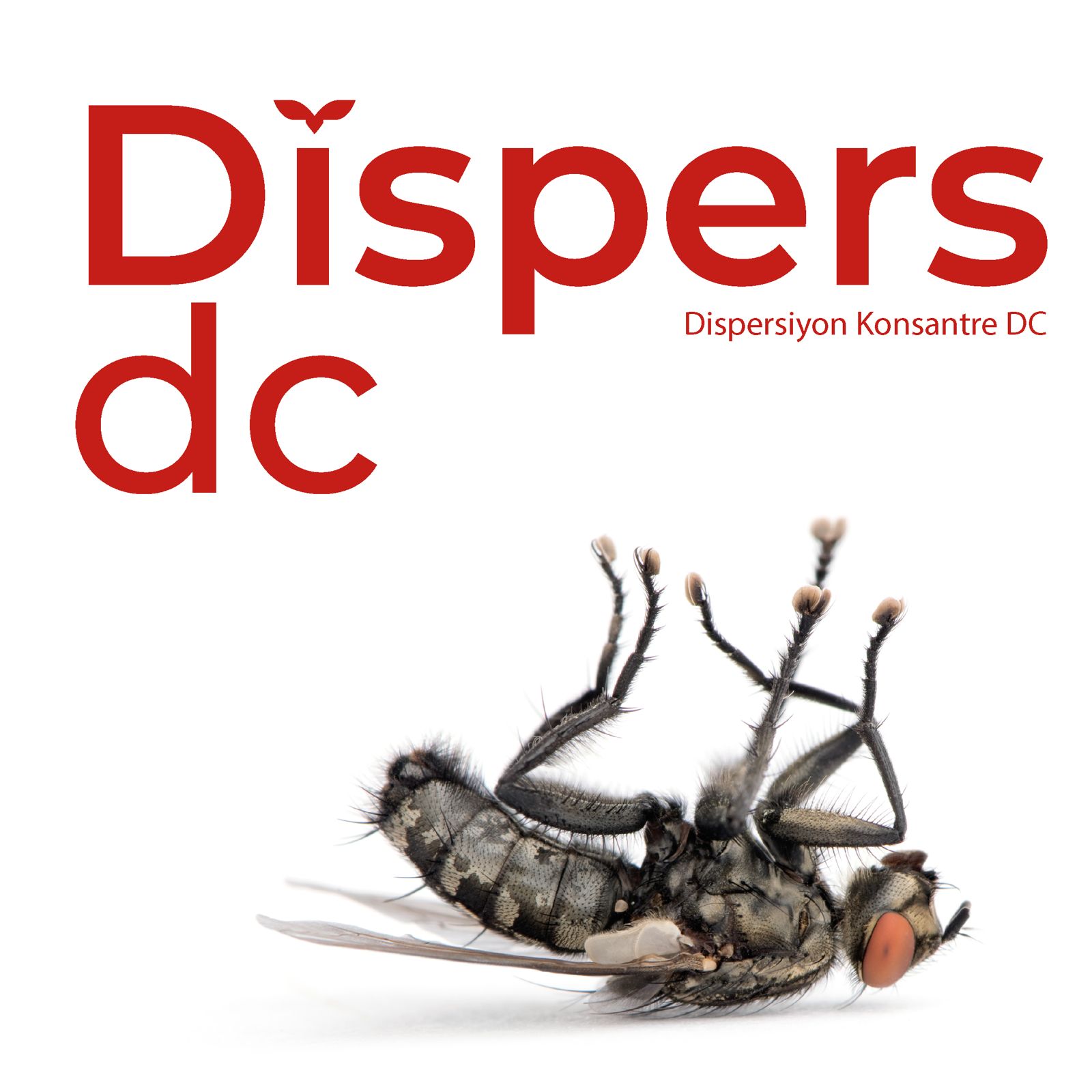 Dispers DC